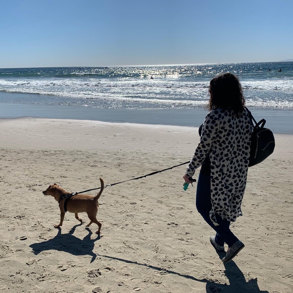 Meet your Posher, Kim